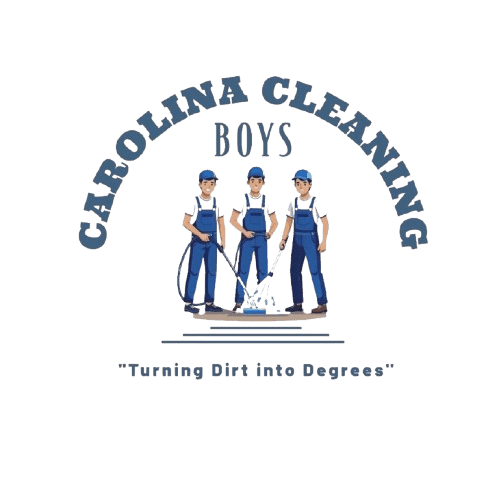 carolina cleaning boys logo
